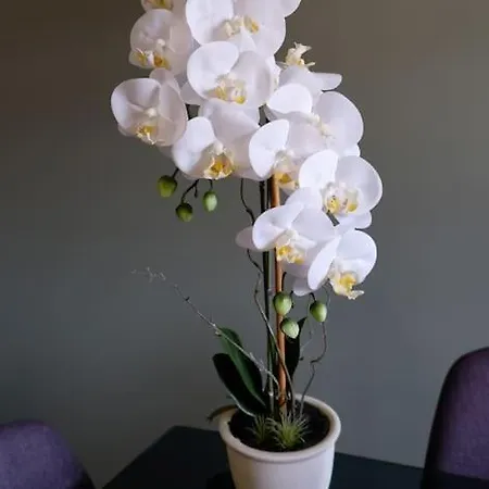 O Cantinho Do Colegio - Dourocollege *