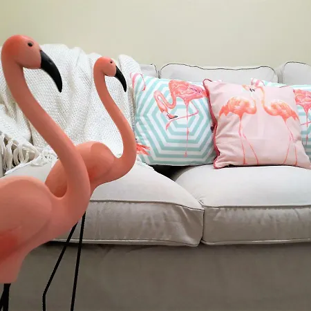 O Cantinho Do Colegio - Dourocollege Lamego