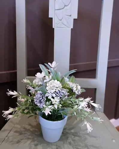 O Cantinho Do Colegio - Dourocollege * Lamego