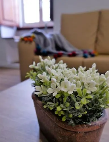 Apartamento O Cantinho Do Colegio - Dourocollege