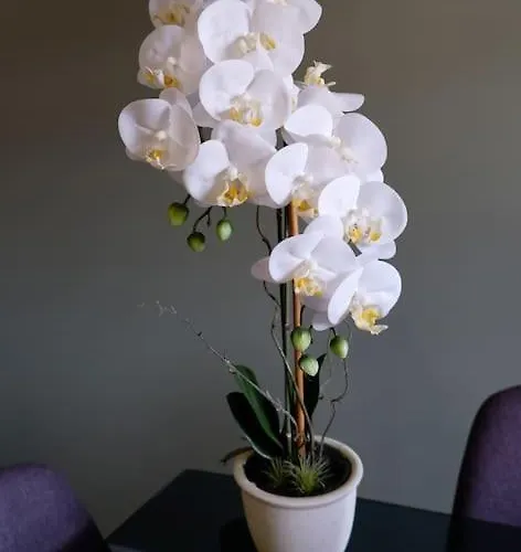 O Cantinho Do Colegio - Dourocollege *