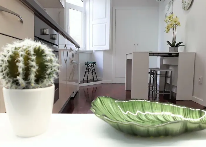 O Cantinho Do Colegio - Dourocollege